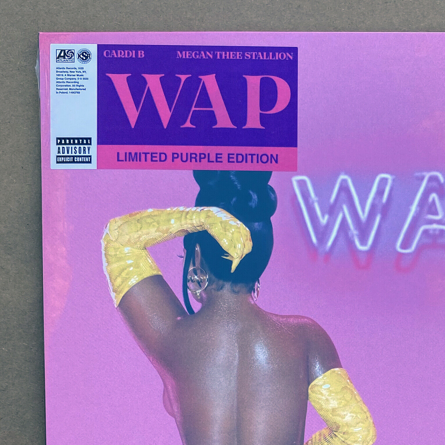 Cardi B & Megan Thee Stallion: 8 Ways #WAP Whopped Record Books
