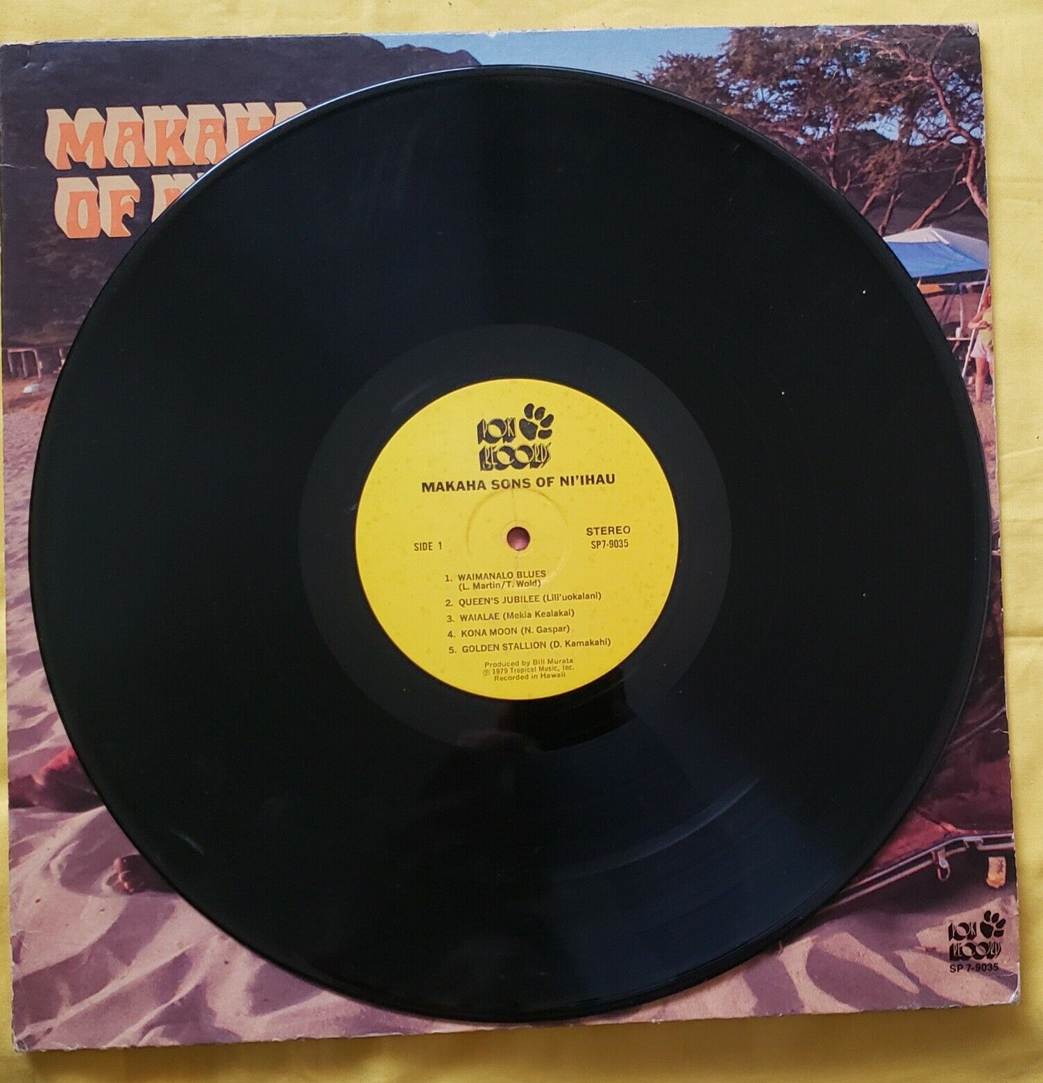 Hawaii LP ハワイレコード Waiehu Sons-