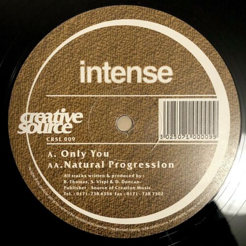 popsike.com - INTENSE Only You Natural Progression 12” Vinyl